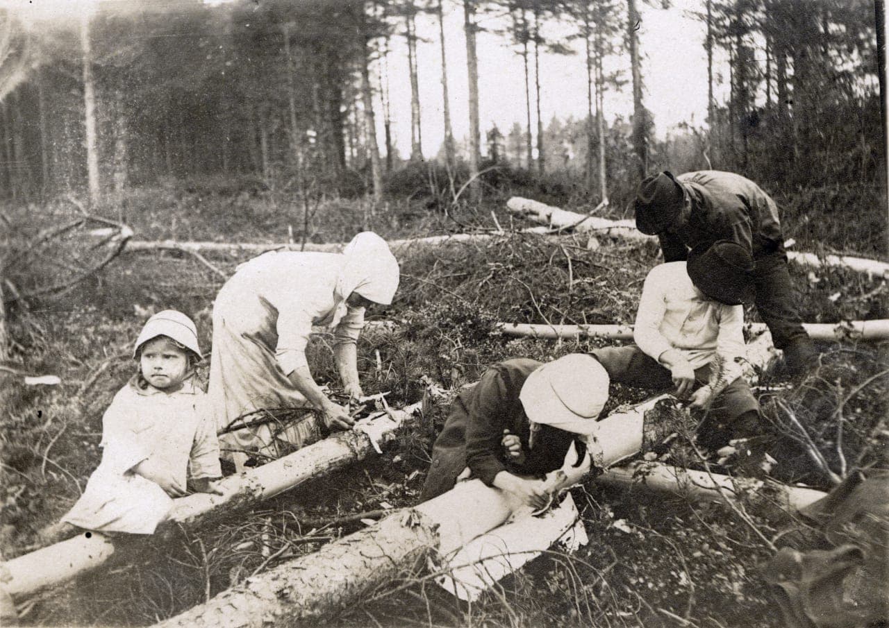 Pain « pettu » à la farine de substitution