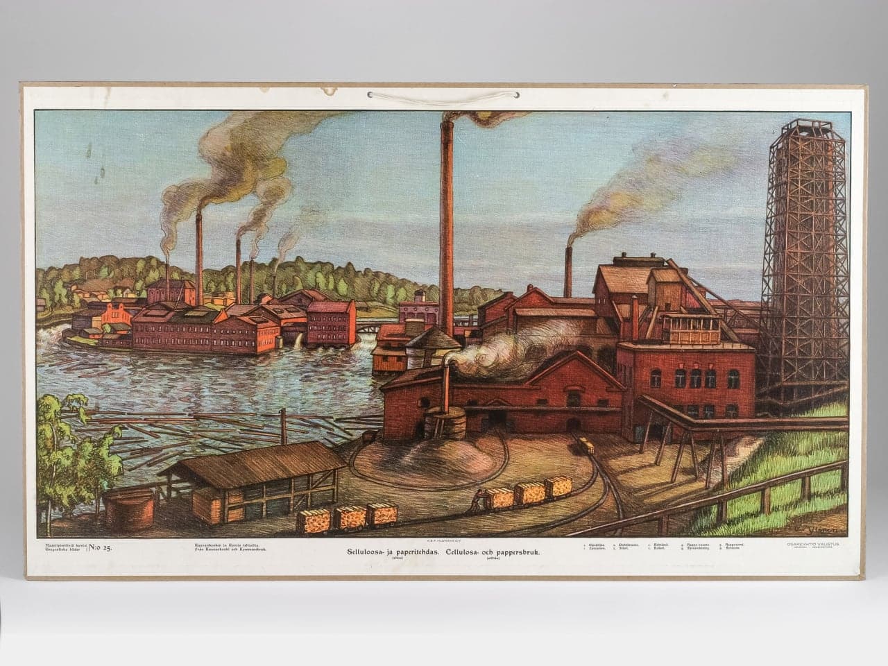 School board encompassing cellulose and paper factories