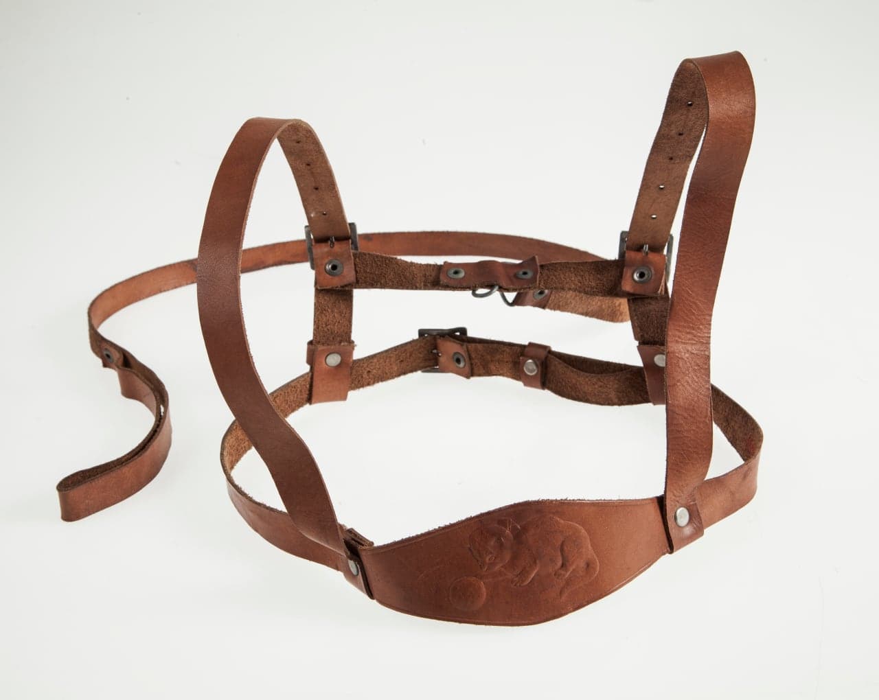 Walking harness for toddlers